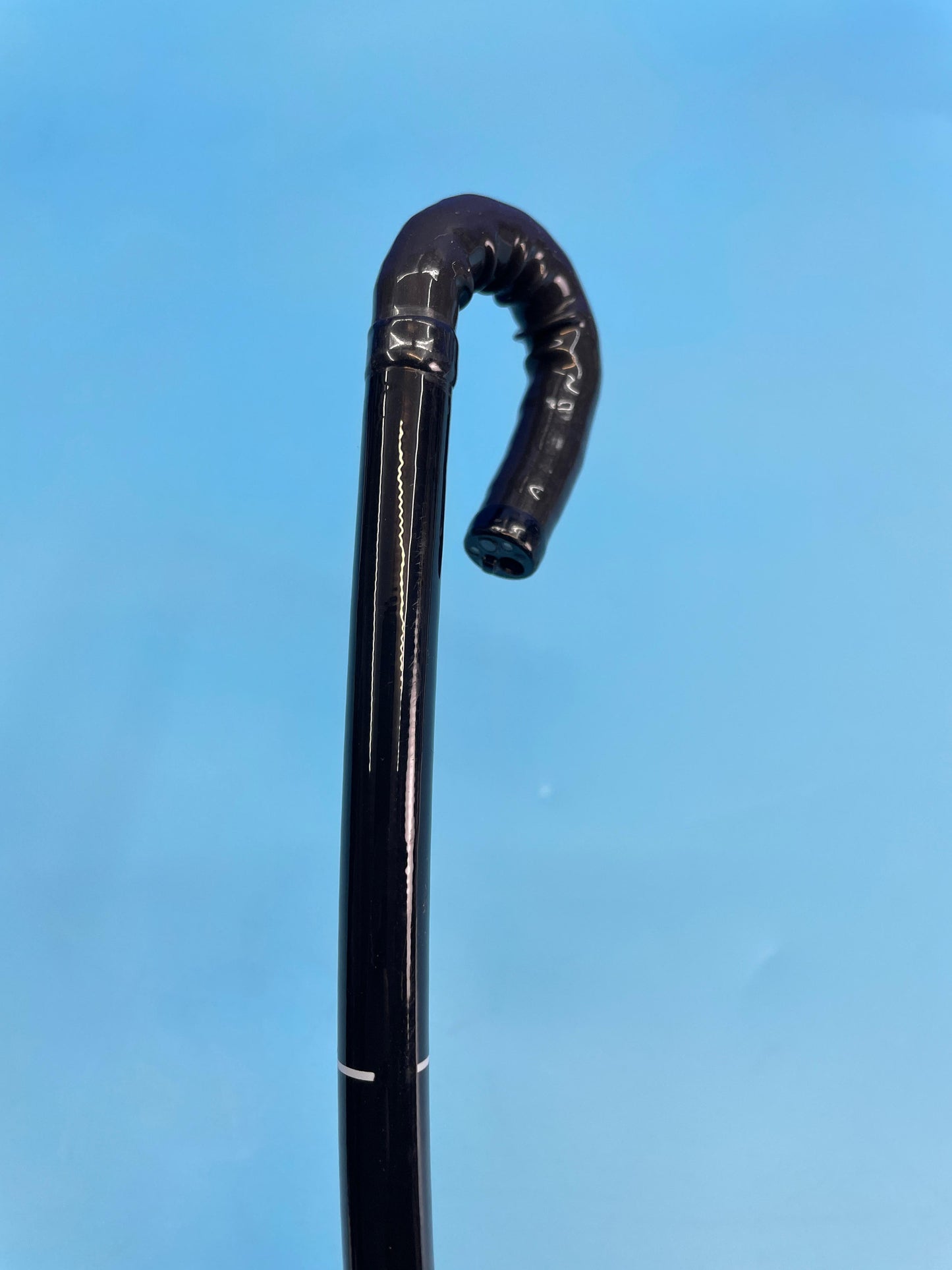 Bending capability Insertion Section Insertion Tube Bending Section Distal End