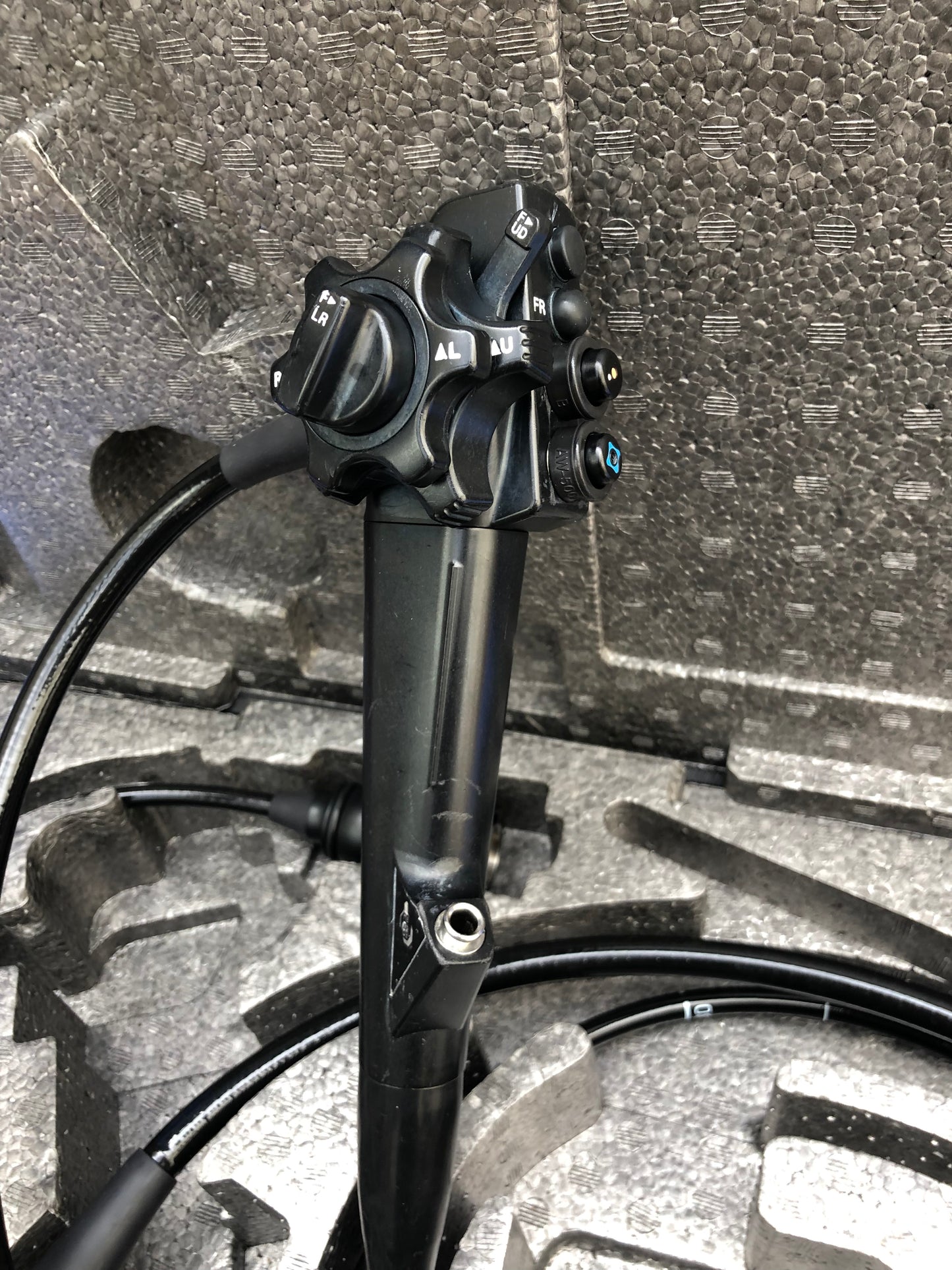 Gastroscopio Fujinon EG 590WR