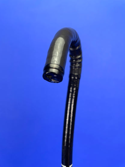 Endoscope distal portion and bending capacity at different angles