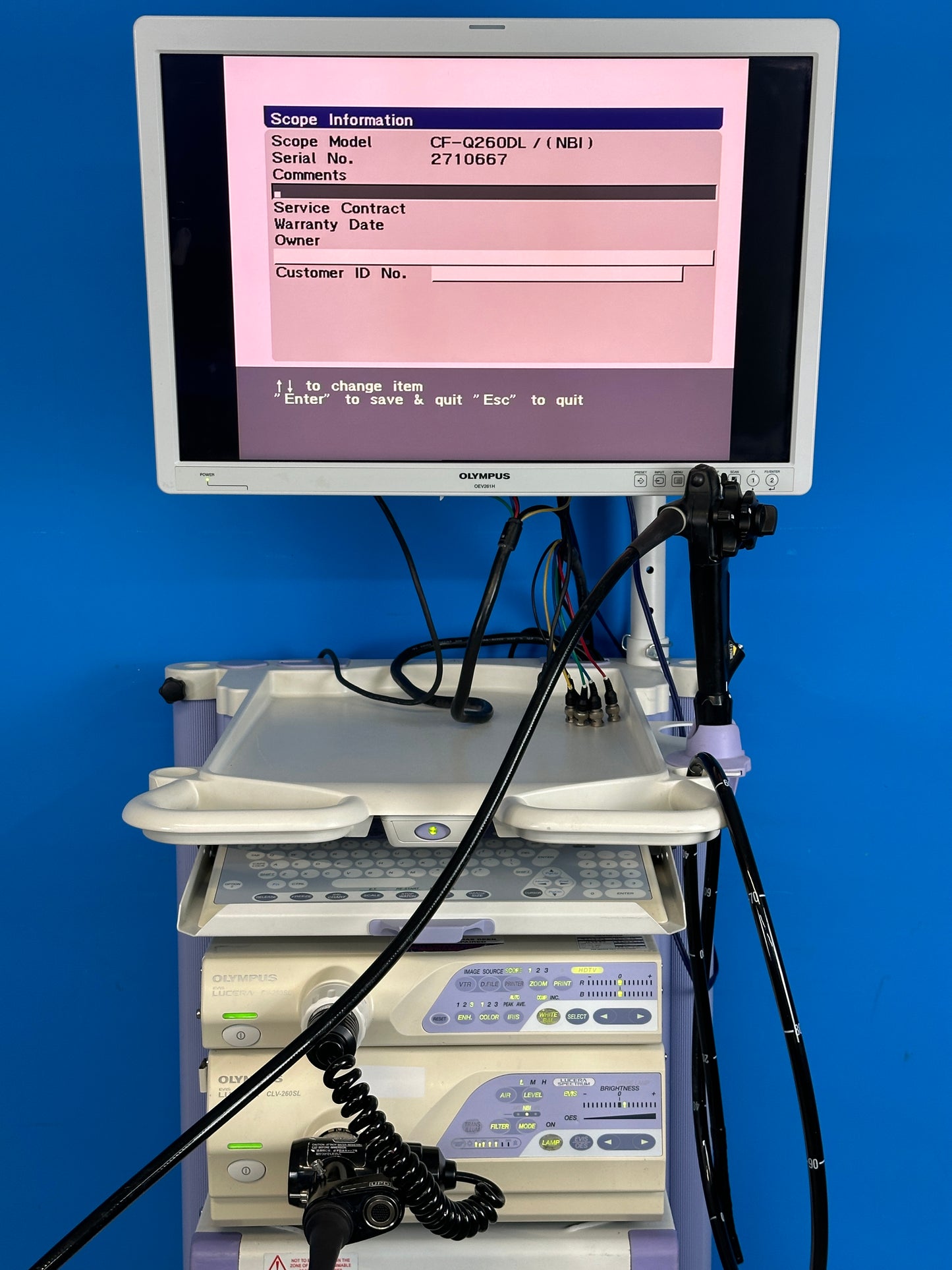 Olympus OEV261H LED Monitor shows Excellent display of the endoscope view